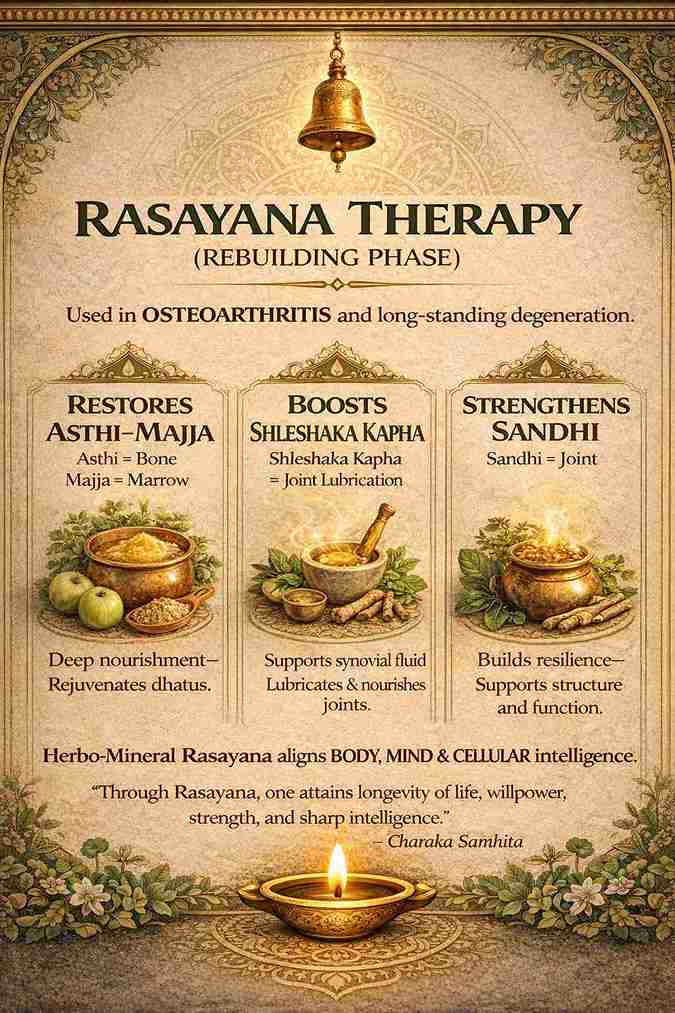 Ayusya Ayurveda infographic on Rasayana therapy, focusing on rebuilding phase for osteoarthritis and long-standing degeneration by restoring Asthi, Maja, and strengthening joints.