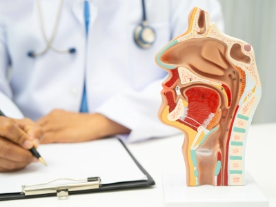Ear, nose and throat consultation